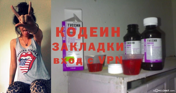 шишки Лиски