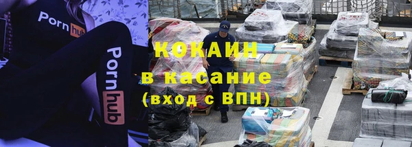 шишки Лиски