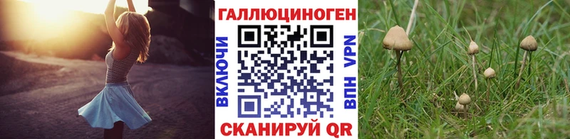 Галлюциногенные грибы Magic Shrooms гидра ONION Жуков закладки